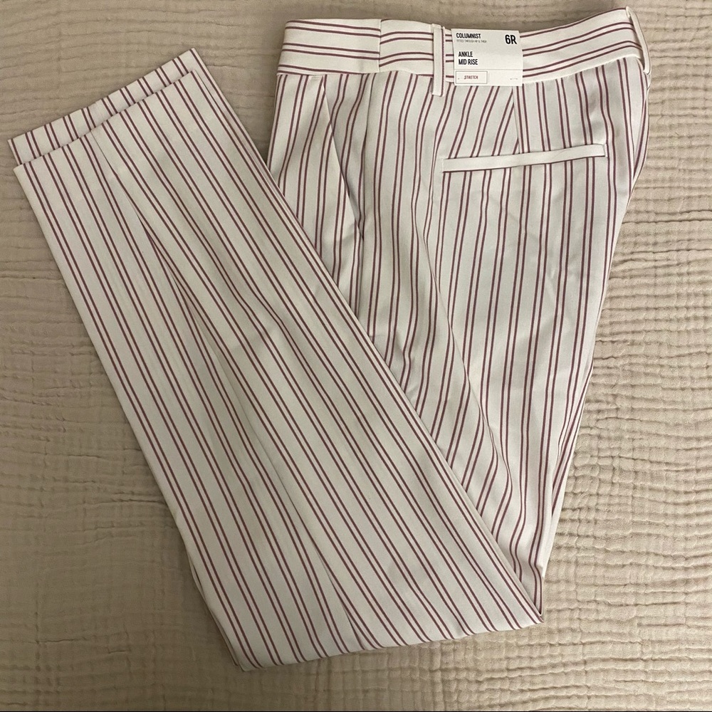 Express Columnist Ankle pants